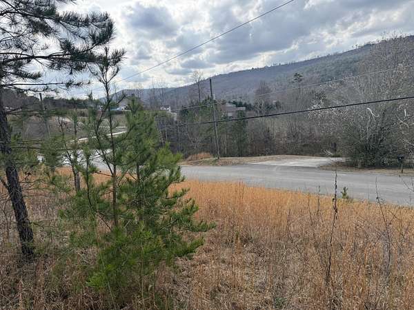 3.32 Acres of Residential Land for Sale in Trenton, Georgia