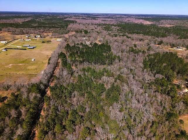3 Acres of Residential Land for Sale in Poplarville, Mississippi