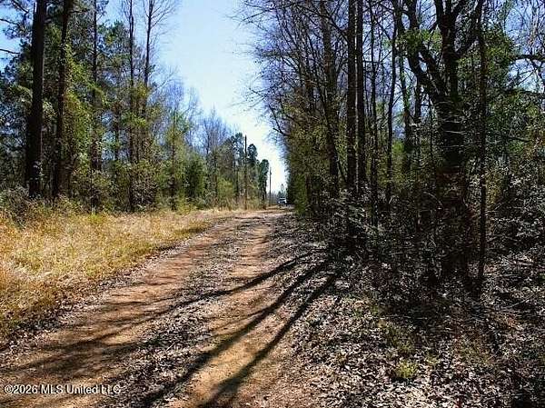 3 Acres of Residential Land for Sale in Poplarville, Mississippi