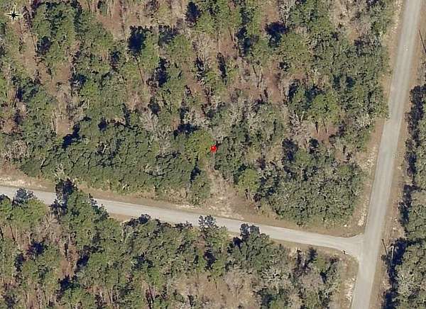 1 Acre of Residential Land for Sale in Dunnellon, Florida