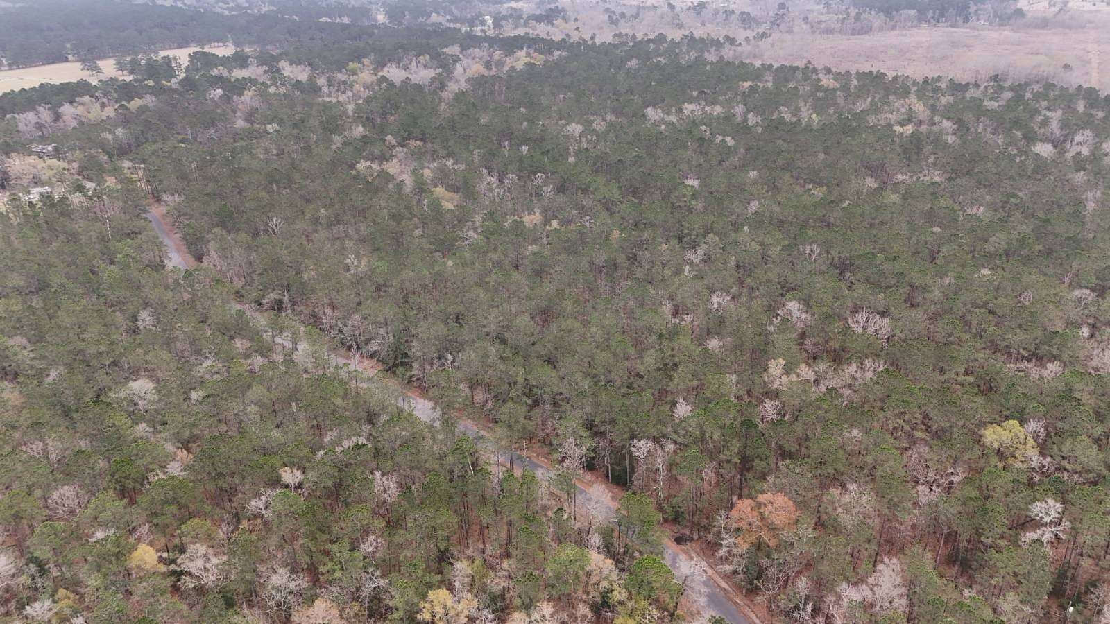 60 Acres of Recreational Land for Sale in Starks, Louisiana