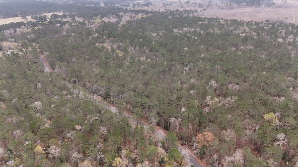 60 Acres of Recreational Land for Sale in Starks, Louisiana