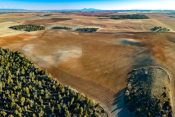 427 Acres of Land for Sale in Monticello, Utah
