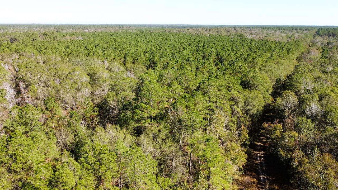 516 Acres of Recreational Land for Sale in Devers, Texas