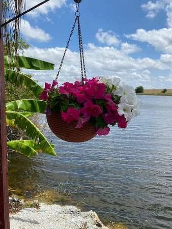 2 Acres of Improved Residential Land for Lease in Okeechobee, Florida