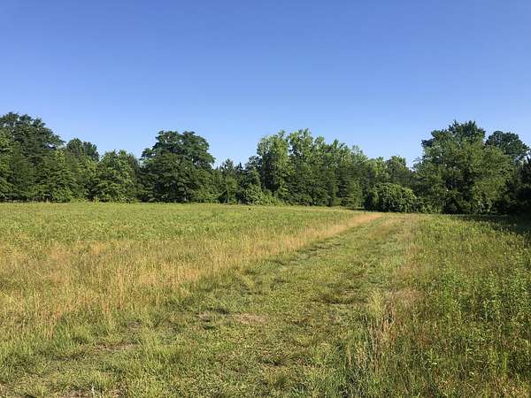 79.1 Acres of Recreational & Residential Land for Sale in Moncks Corner, South Carolina