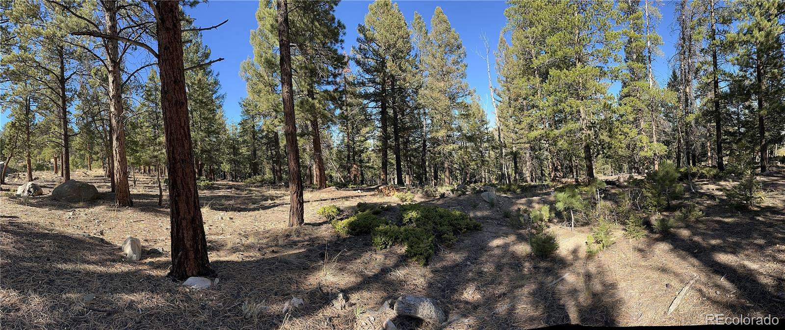 1.87 Acres of Residential Land for Sale in Buena Vista, Colorado