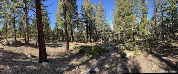 1.87 Acres of Residential Land for Sale in Buena Vista, Colorado