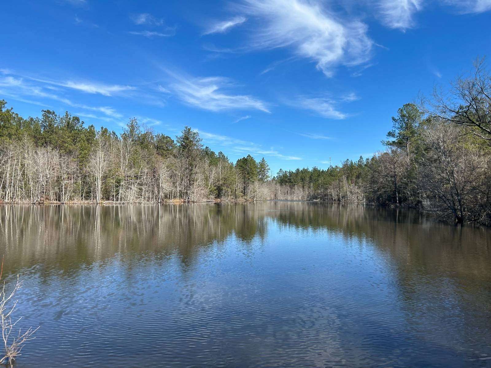 108 Acres of Recreational & Residential Land for Sale in State Line, Mississippi