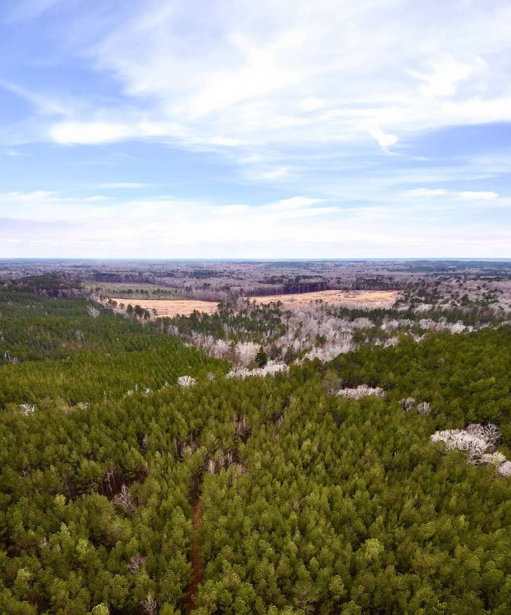 60 Acres of Recreational Land for Sale in Harrisville, Mississippi