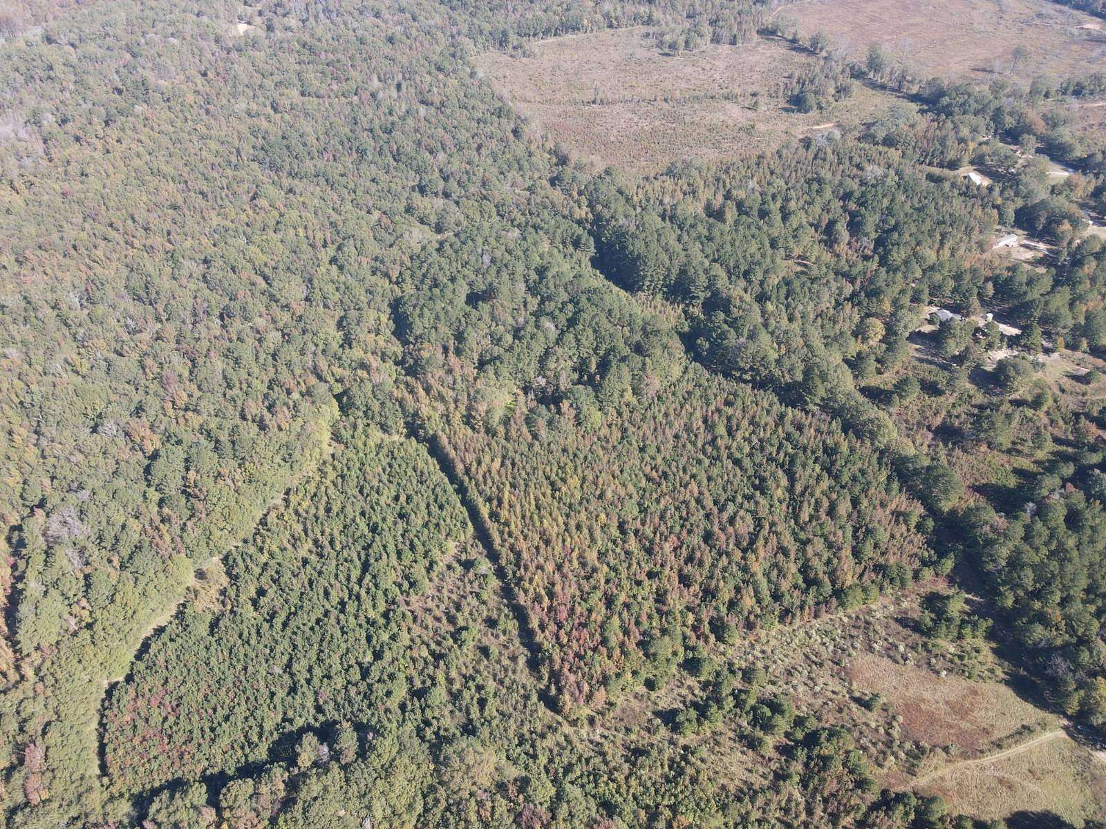 20 Acres of Land for Sale in Carthage, Mississippi