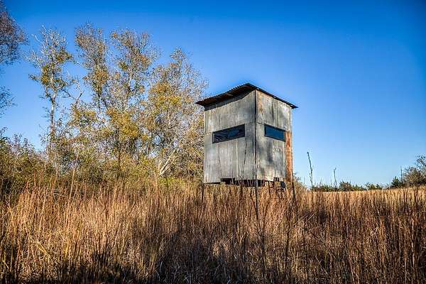 119 Acres of Land for Sale in New Ulm, Texas