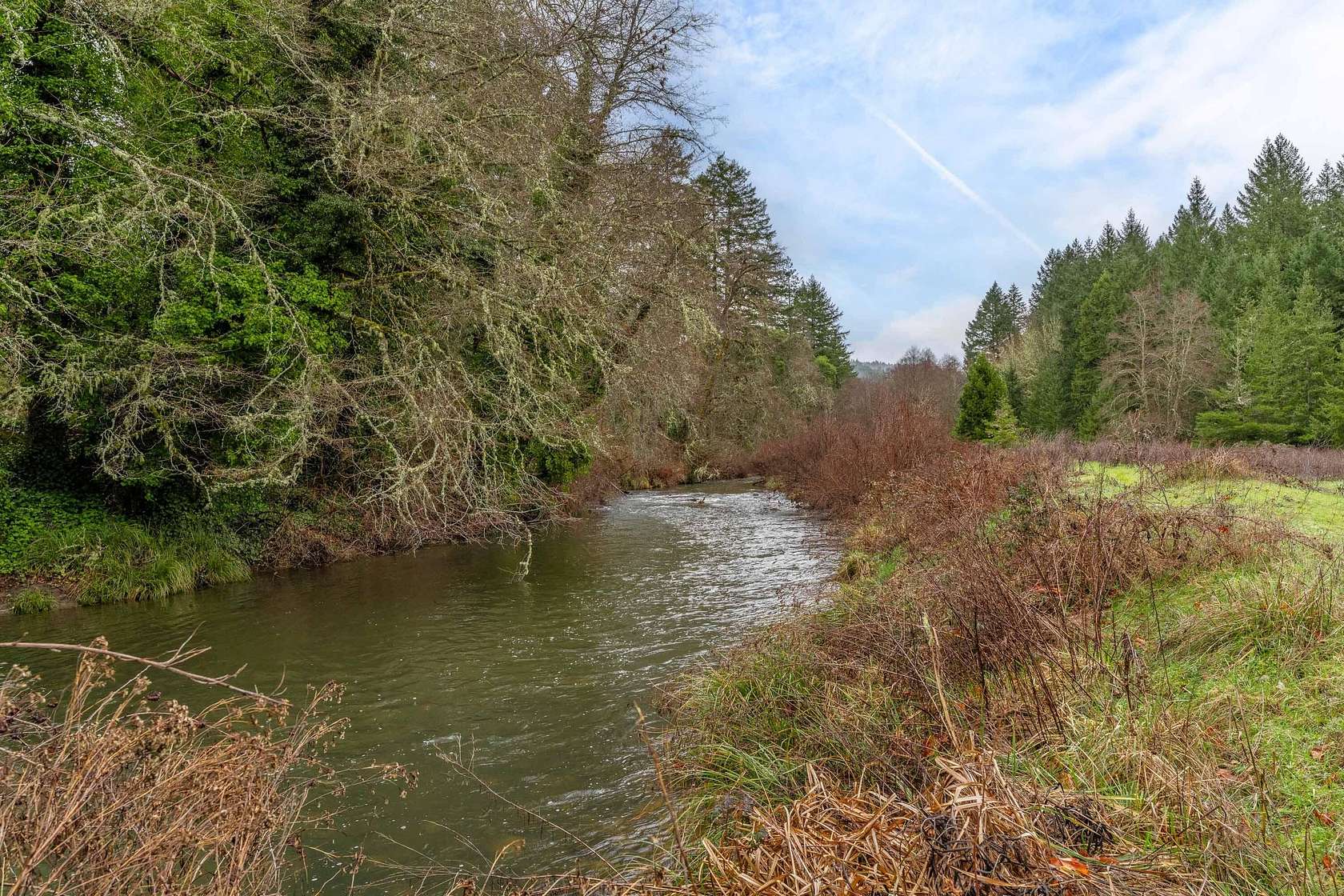 30 Acres of Recreational & Residential Land for Sale in Azalea, Oregon