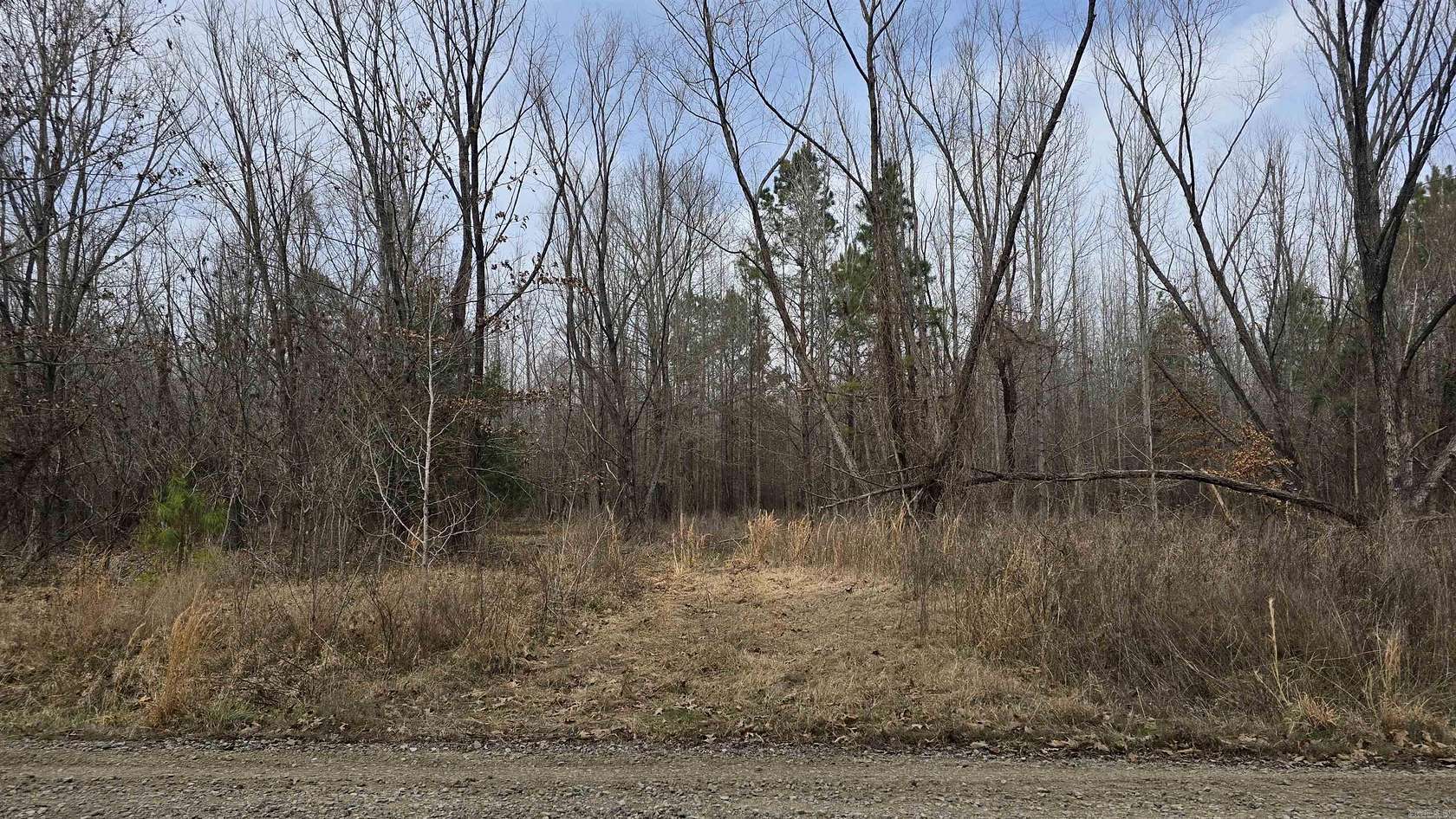 20 Acres of Recreational Land for Sale in Bald Knob, Arkansas