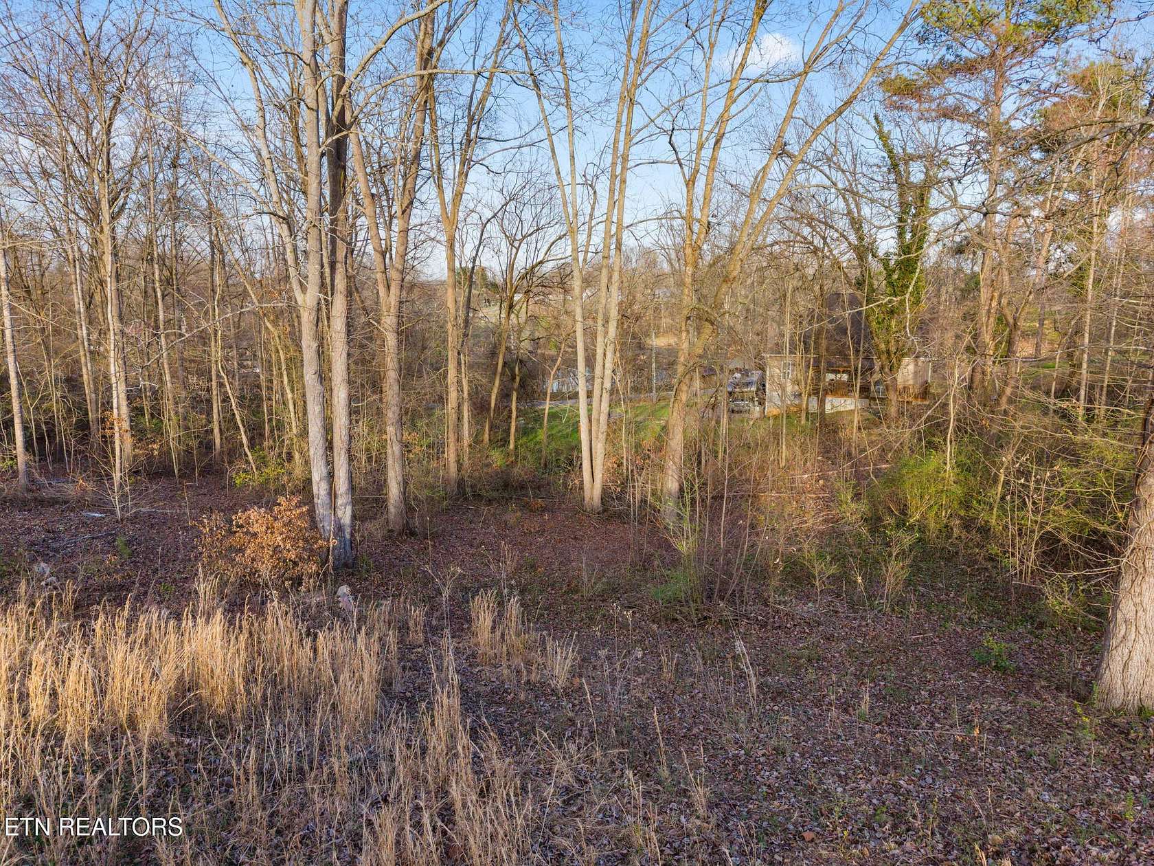 0.5 Acres of Residential Land for Sale in White Pine, Tennessee
