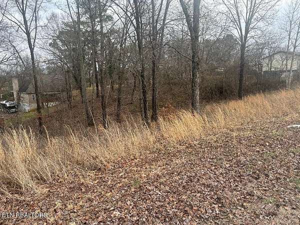 0.5 Acres of Land for Sale in White Pine, Tennessee