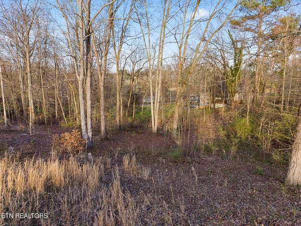 0.5 Acres of Residential Land for Sale in White Pine, Tennessee