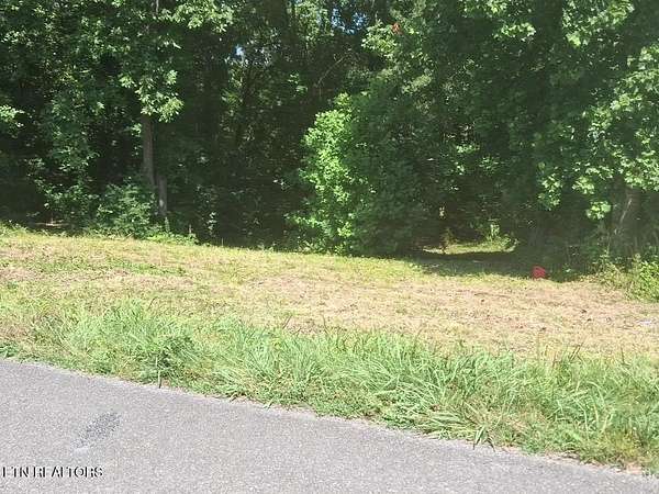 0.5 Acres of Residential Land for Sale in White Pine, Tennessee