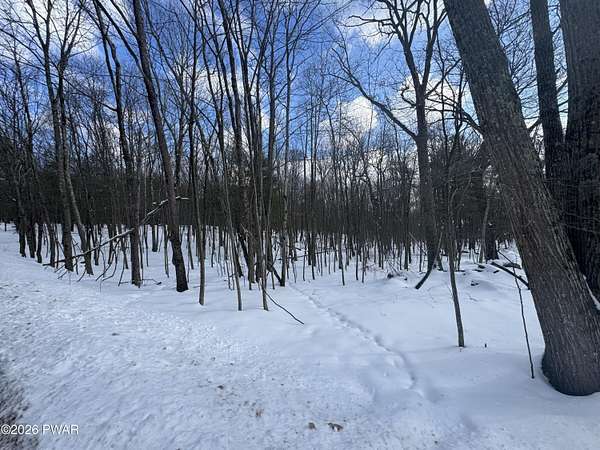 1 Acre of Land for Sale in Tafton, Pennsylvania