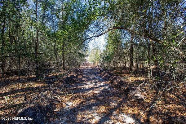 4.62 Acres of Land for Sale in Live Oak, Florida