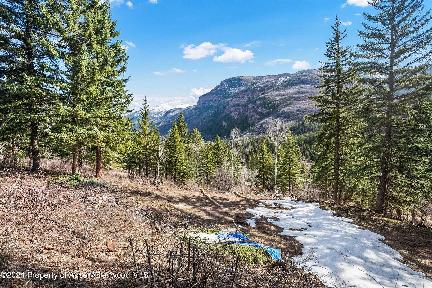 3 Acres of Land for Sale in Redstone, Colorado