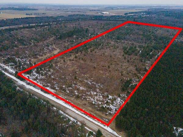 80 Acres of Land for Sale in Coloma, Wisconsin