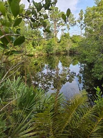 5.75 Acres of Land for Sale in Okeechobee, Florida
