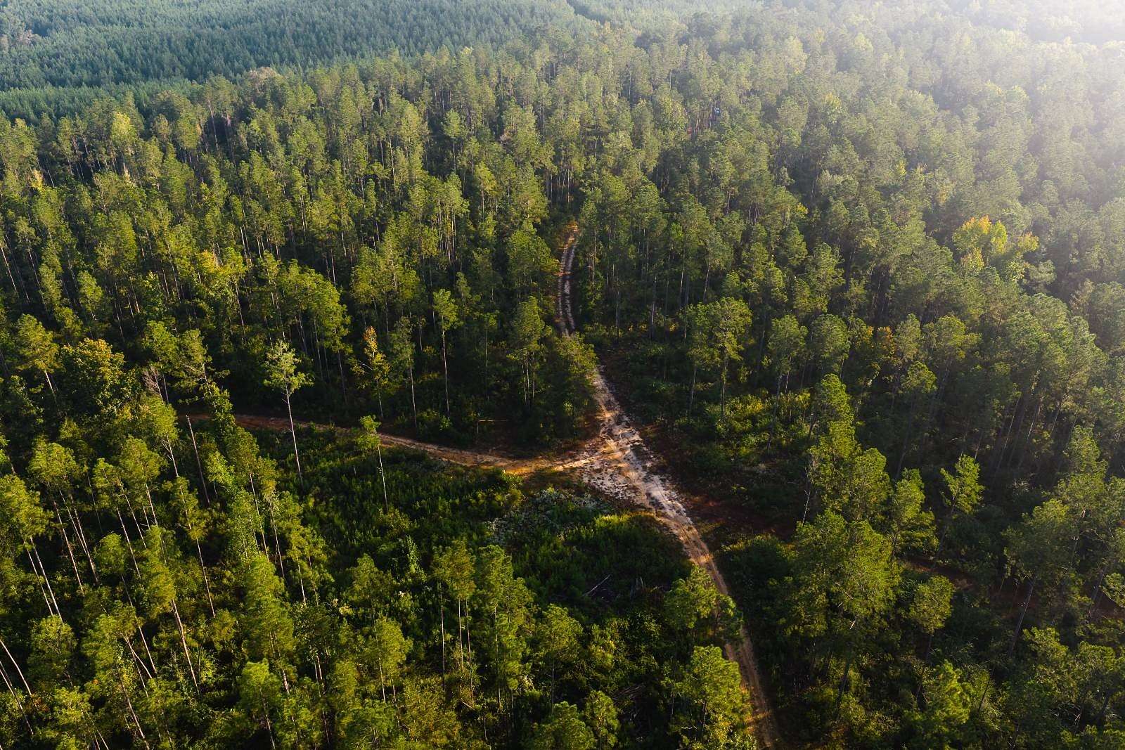 160 Acres of Recreational Land for Sale in Columbia, Mississippi