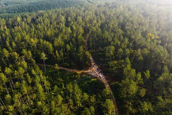 160 Acres of Recreational Land for Sale in Columbia, Mississippi