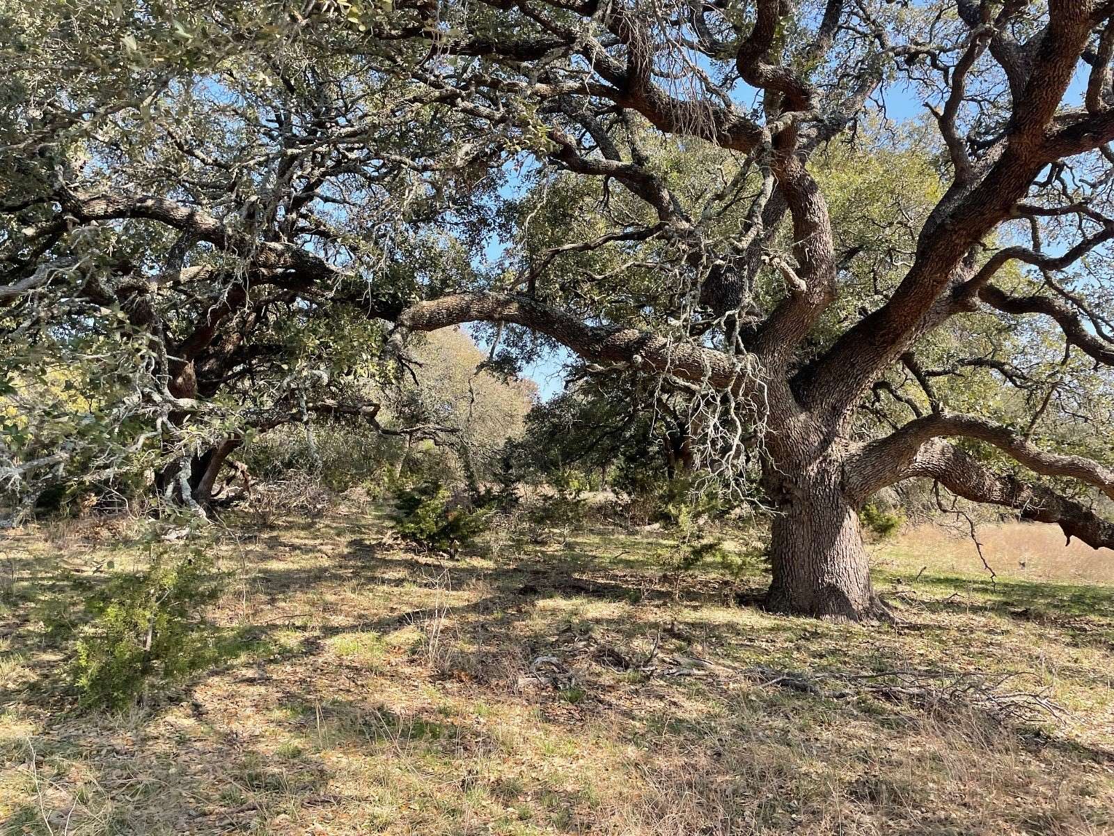 92.3 Acres of Land for Sale in Hamilton, Texas