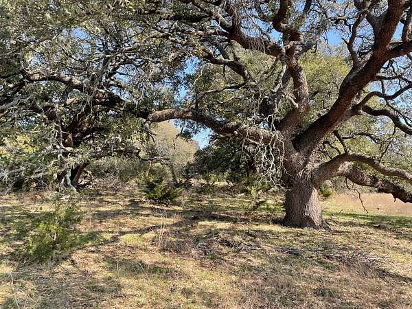 92.3 Acres of Land for Sale in Hamilton, Texas