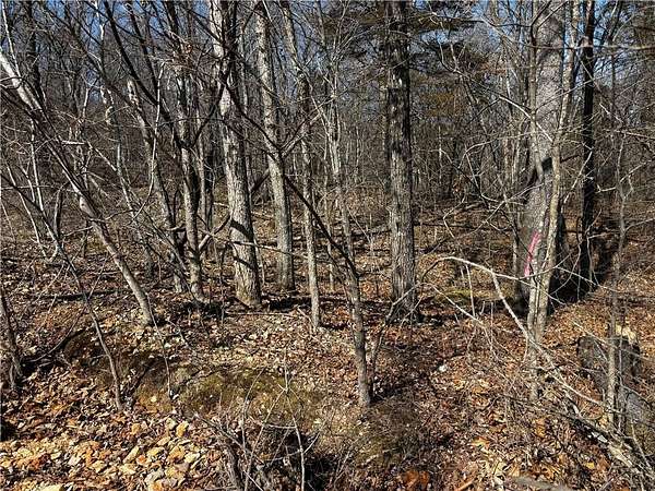 0.23 Acres of Residential Land for Sale in Bella Vista, Arkansas