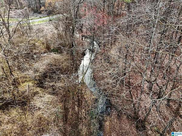 15 Acres of Recreational & Residential Land for Sale in Pinson, Alabama