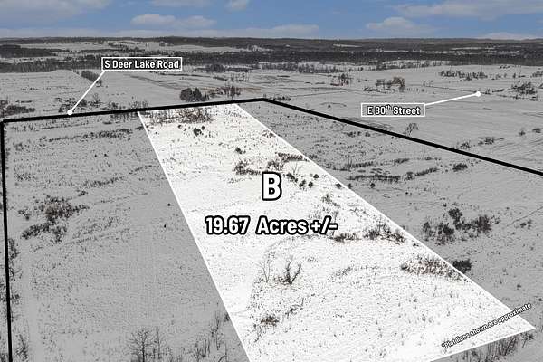 19.7 Acres of Land for Sale in Reed City, Michigan