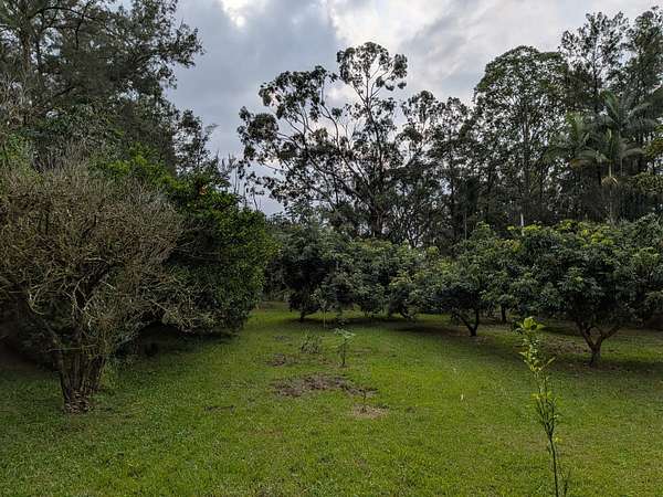 6 Acres of Land for Sale in Kurtistown, Hawaii