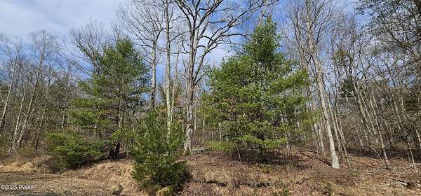 7.6 Acres of Residential Land for Sale in Barryville, New York