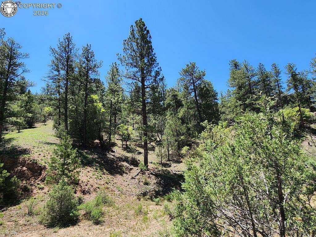 5.49 Acres of Land for Sale in Cotopaxi, Colorado