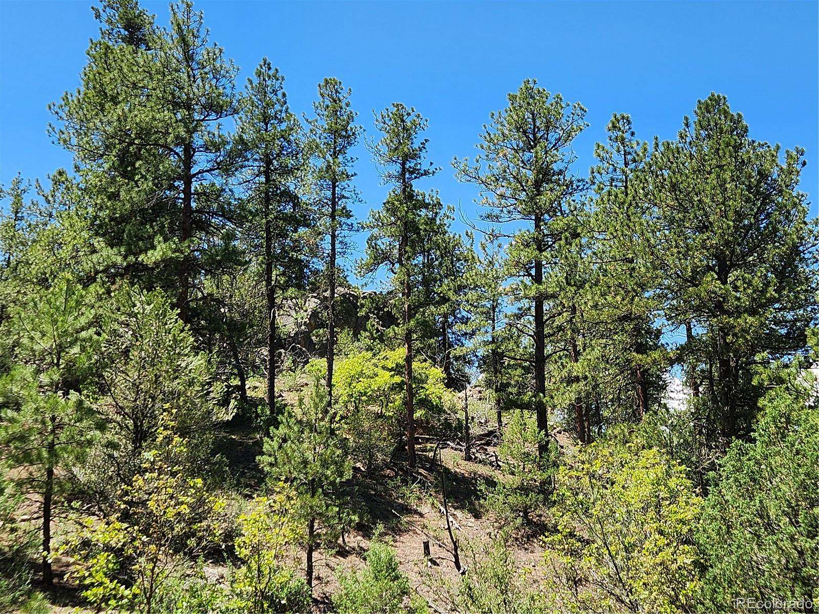 5.49 Acres of Residential Land for Sale in Cotopaxi, Colorado