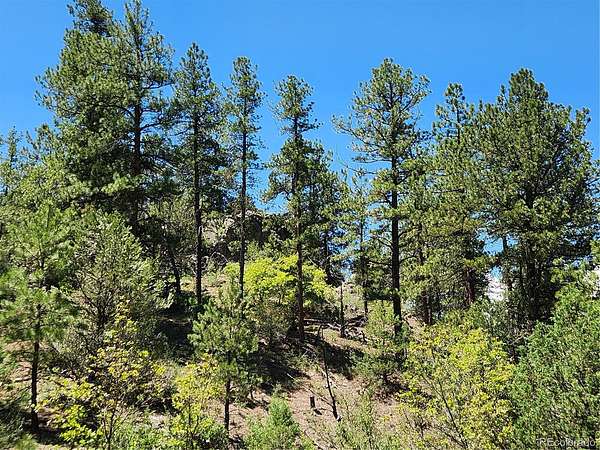 5.49 Acres of Residential Land for Sale in Cotopaxi, Colorado