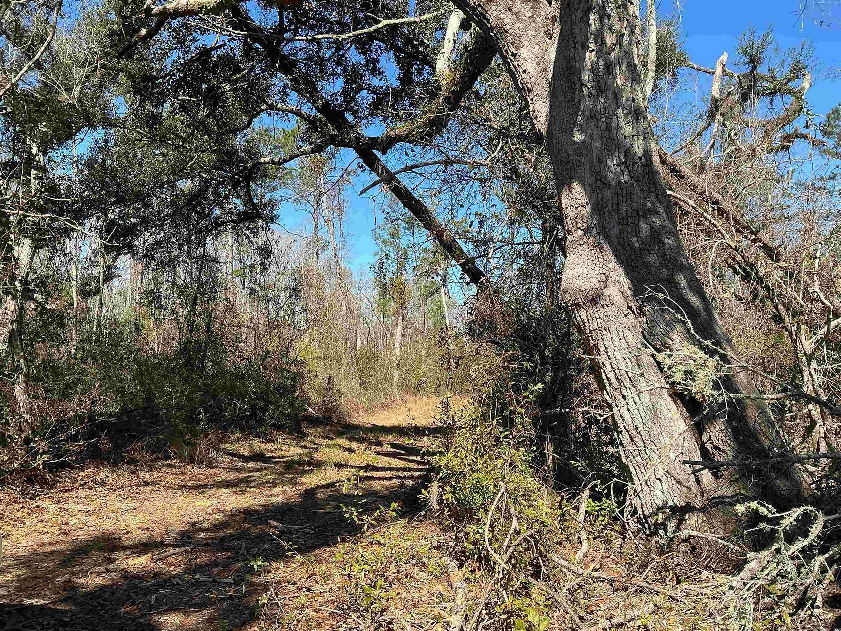 40 Acres of Land for Sale in Madison, Florida