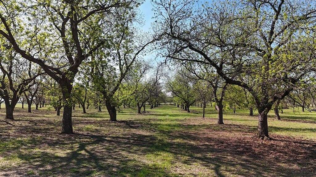20 Acres of Improved Land for Sale in Newcastle, Texas