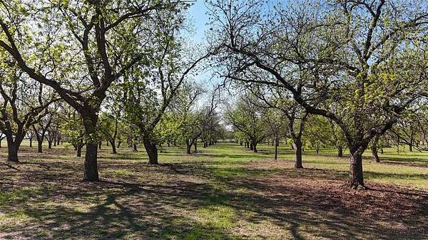 20 Acres of Improved Land for Sale in Newcastle, Texas