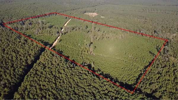 45.2 Acres of Recreational & Residential Land for Sale in Winnfield, Louisiana