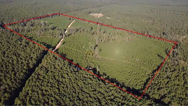 45.2 Acres of Recreational & Residential Land for Sale in Winnfield, Louisiana