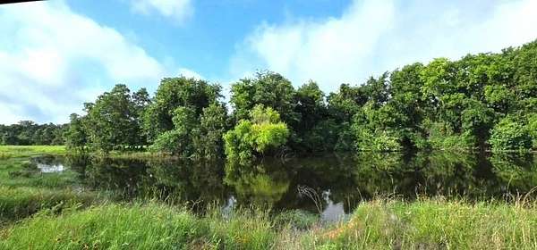 10.1 Acres of Land for Sale in Bremond, Texas