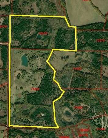 111 Acres of Recreational Land for Sale in Dodd City, Texas