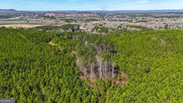 167 Acres of Recreational & Residential Land for Sale in Summerville, Georgia