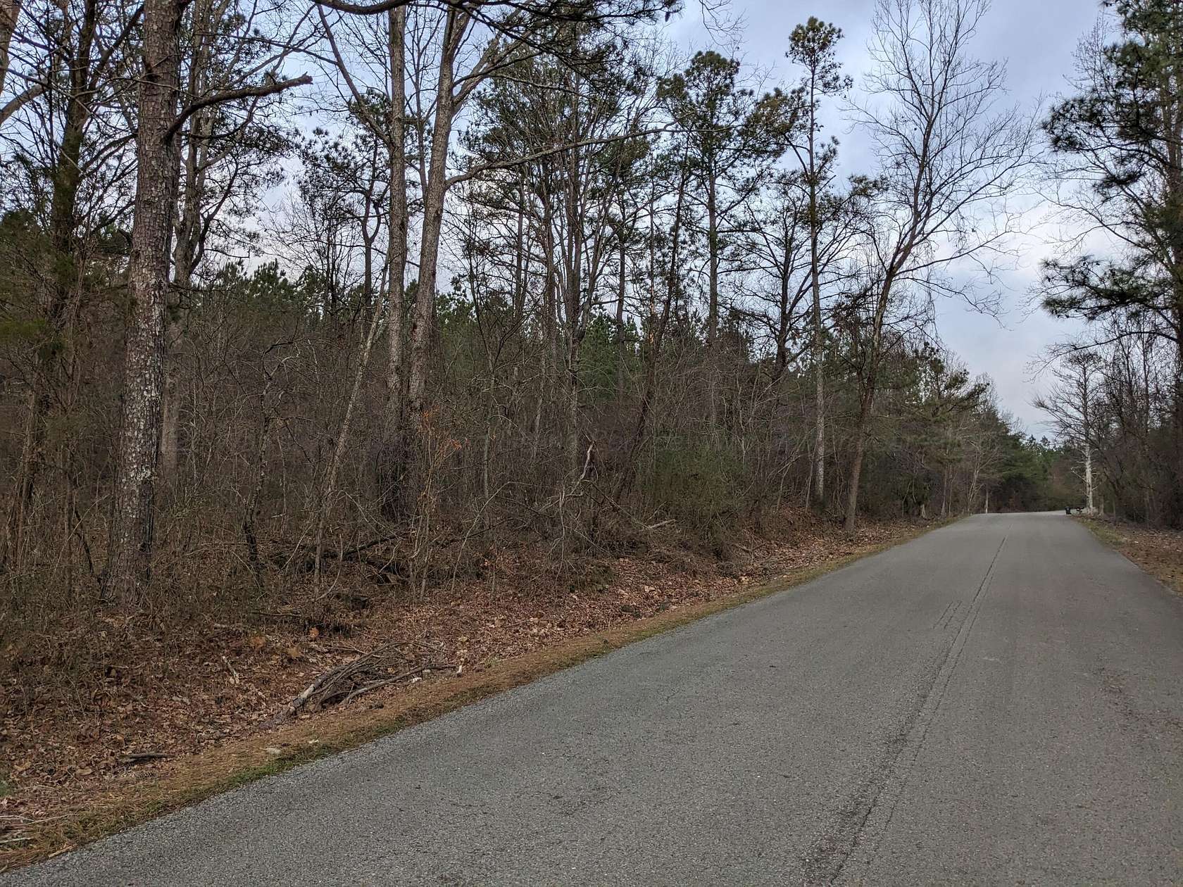 5.5 Acres of Land for Sale in Haleyville, Alabama