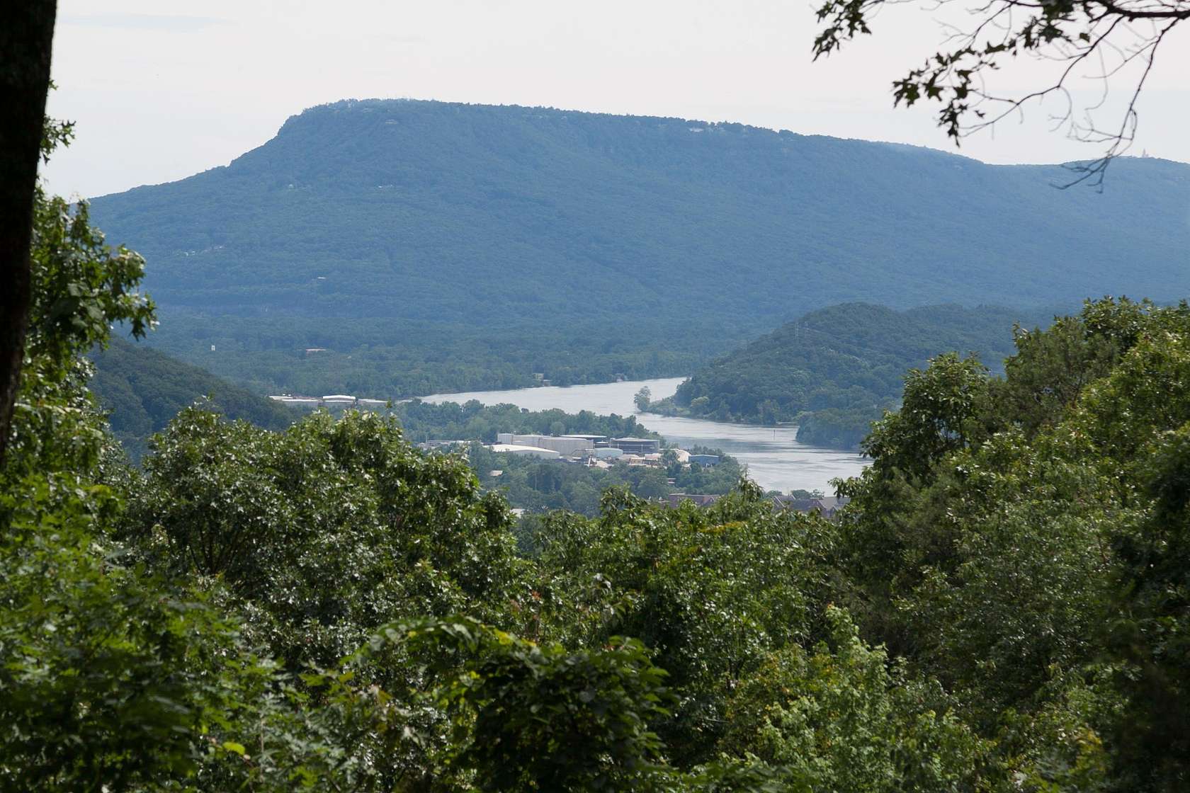 1 Acre of Residential Land for Sale in Signal Mountain, Tennessee