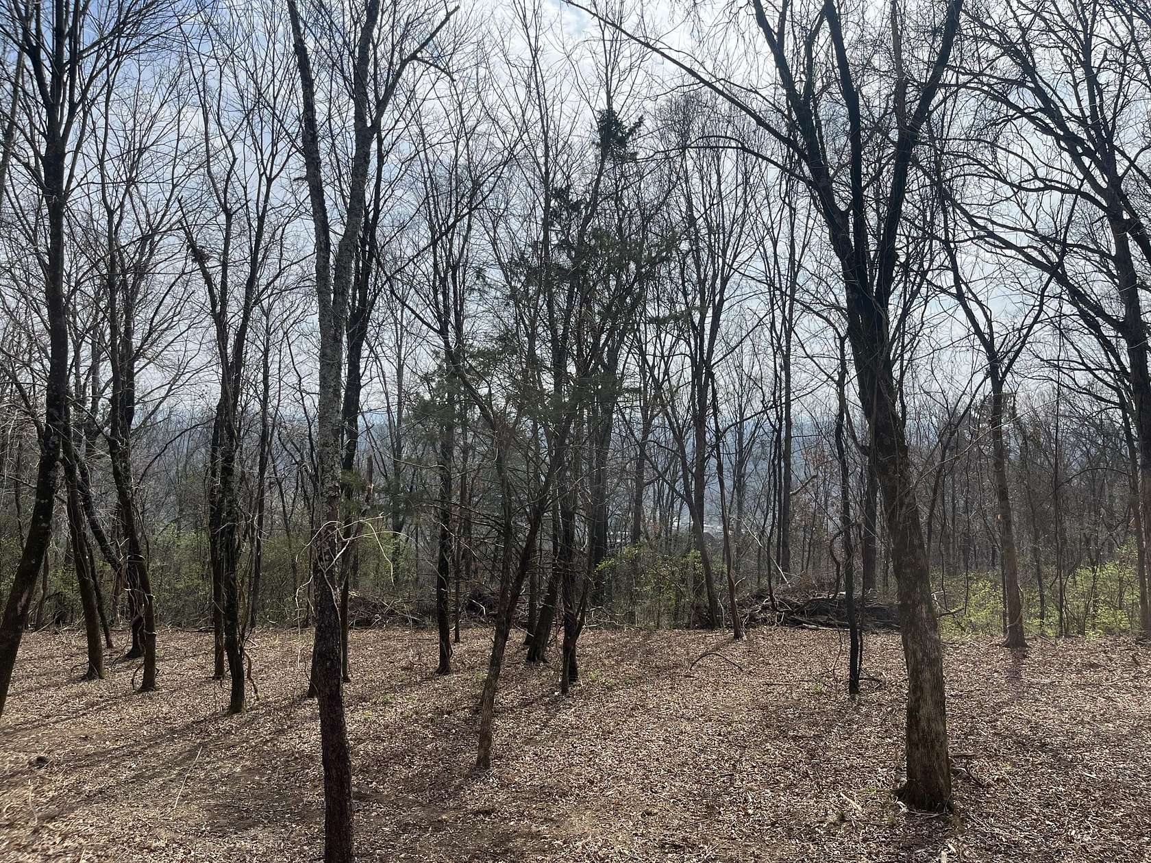 1 Acre of Residential Land for Sale in Signal Mountain, Tennessee